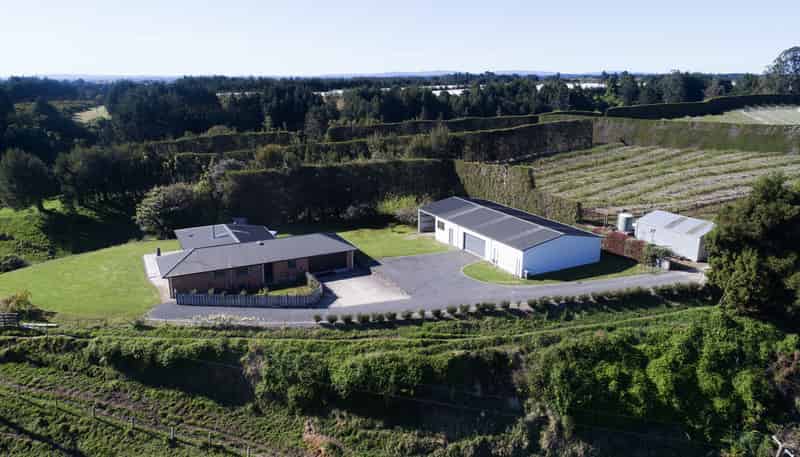 99 Homewood Drive, Te Puke