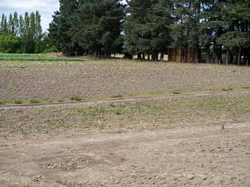 95 Acton Road, Rakaia