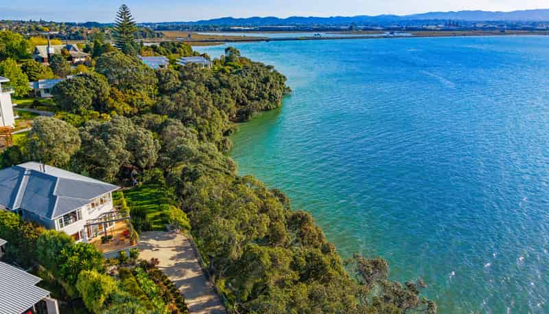 76 St Michaels Avenue, Point Chevalier