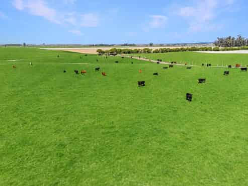 56 Opihi Terrace Road, Pleasant Point