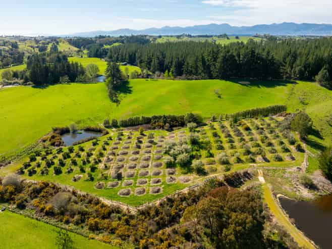 240 George Harvey Road, Upper Moutere