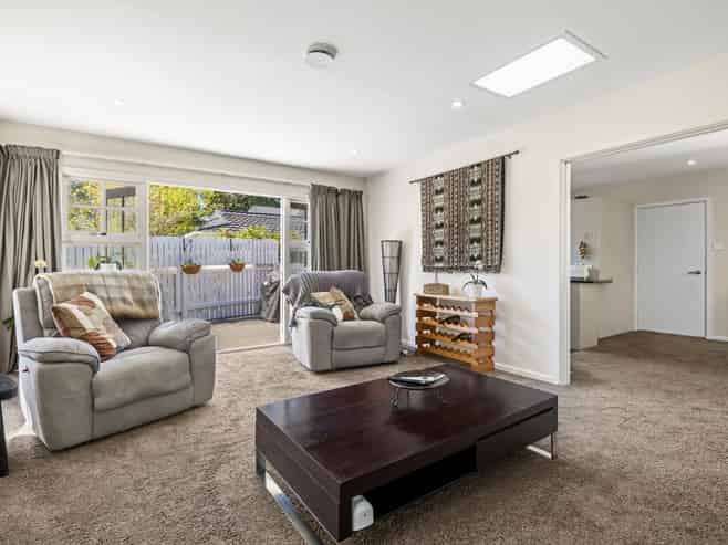 1/203B Clyde Road, Fendalton