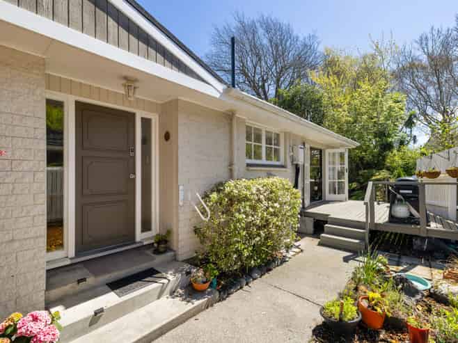 1/203B Clyde Road, Fendalton