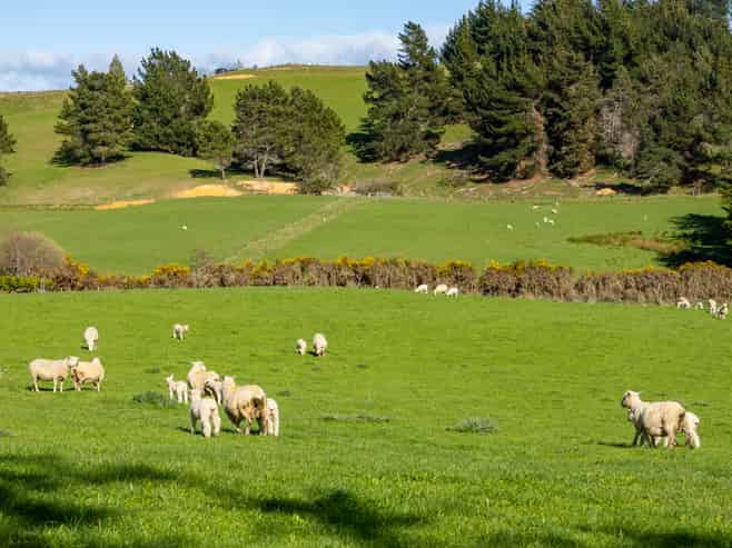 240 George Harvey Road, Upper Moutere