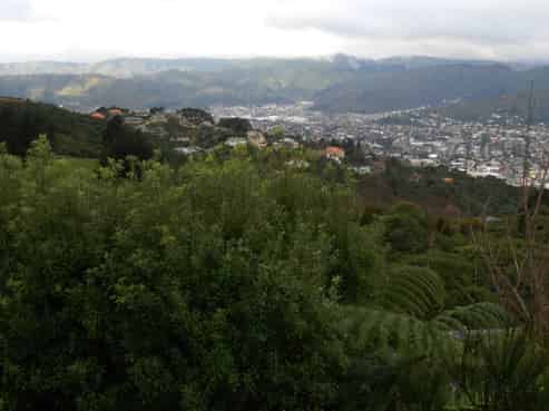 16B Wilson Grove, Normandale