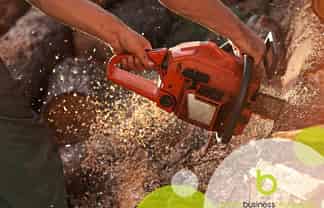 Well Appointed Arborist Business – Auckland to North