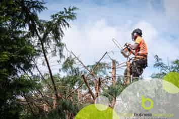 Leading Local Tree Maintenance Business - Strong Profit Margins & Consistant Turnover