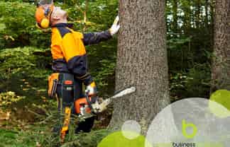 Arborist Business - Auckland to North