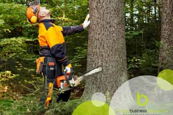 Arborist Business - Auckland to North