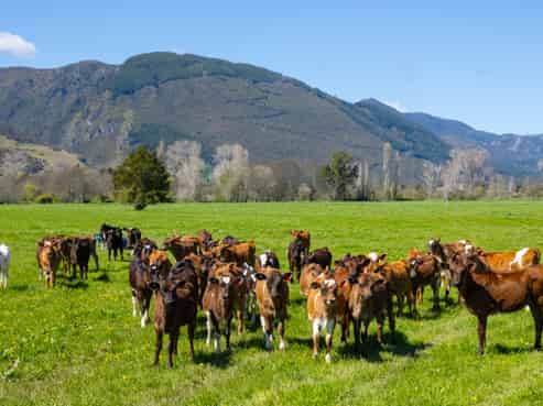 1436 Takaka Valley Highway, Takaka