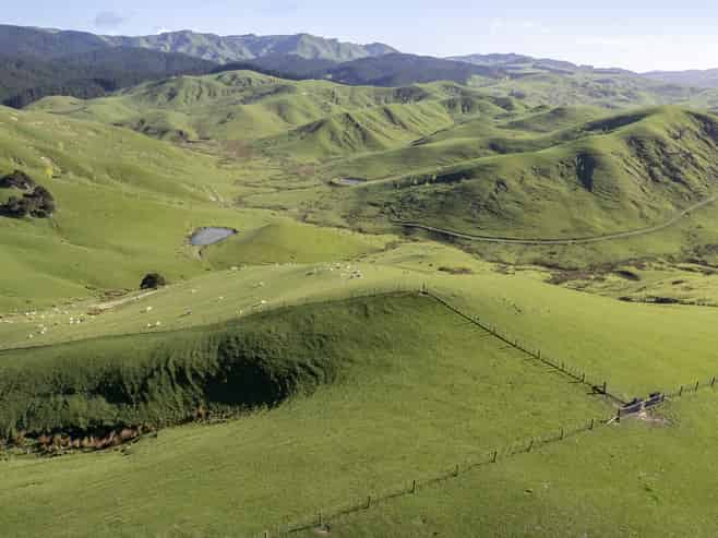 21 Wairere Road, Masterton