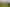 35A Ruby Place, Pukehangi