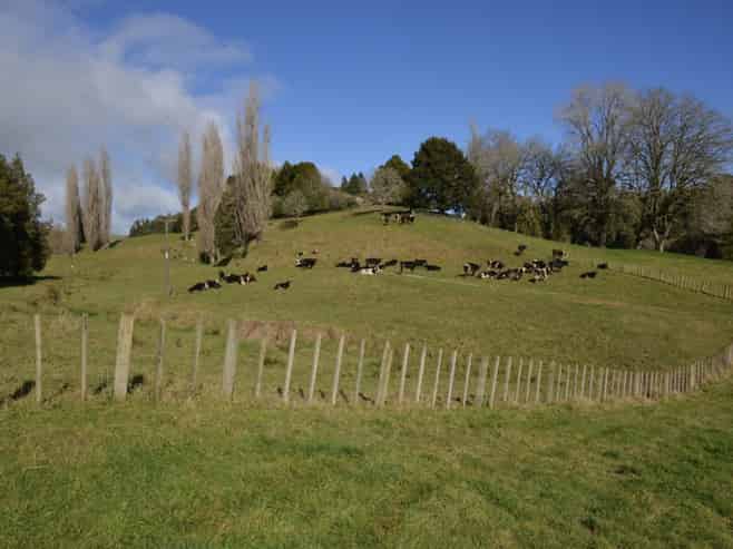 154 State Highway 3, Te Kuiti