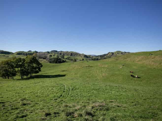 154 State Highway 3, Te Kuiti