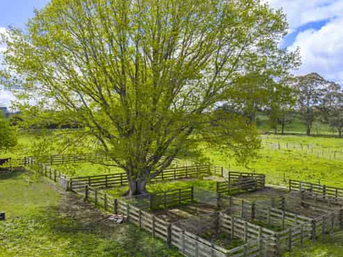 26 Goile Road, Ngahinapouri