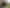 Wellington - Address withheld