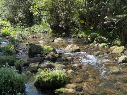 9D McQuade Road, Whakamarama