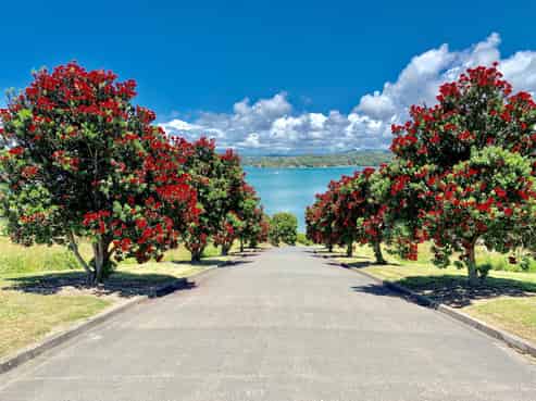 16 Grant Street, Mahurangi East