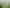 12 Second Avenue, Dargaville