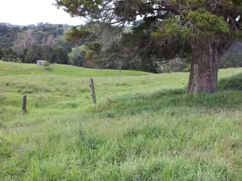 118 Paparoa Station Road, Paparoa