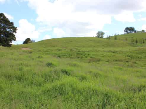 118 Paparoa Station Road, Paparoa