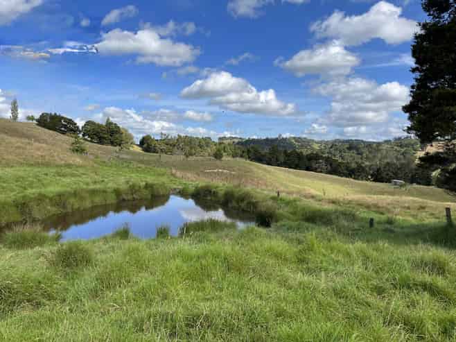 118 Paparoa Station Road, Paparoa