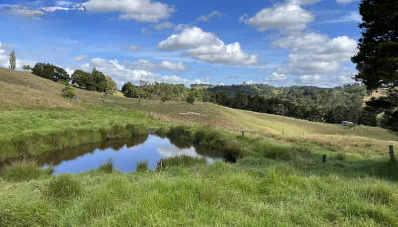 118 Paparoa Station Road, Paparoa