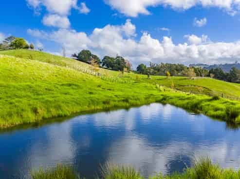 118 Paparoa Station Road, Paparoa
