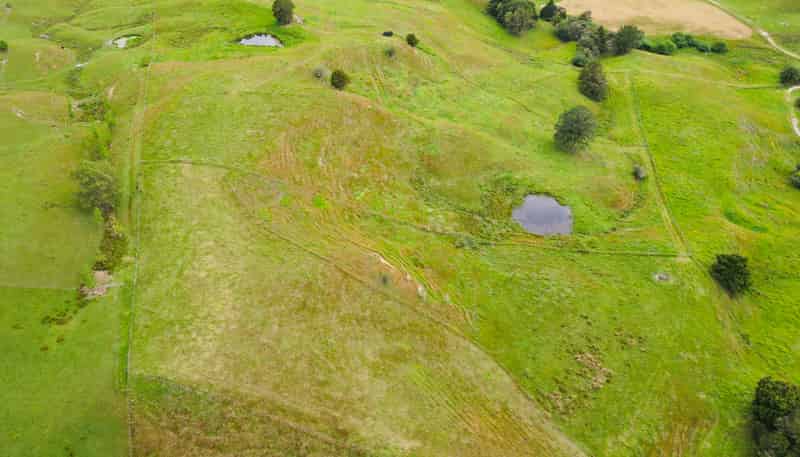 118 Paparoa Station Road, Paparoa