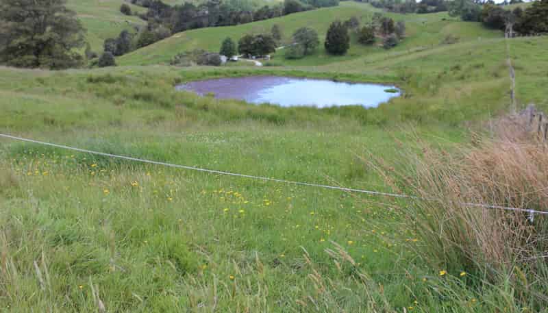 118 Paparoa Station Road, Paparoa