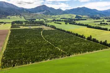 461 Woodbank Road, Hanmer Springs