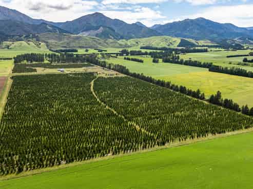 461 Woodbank Road, Hanmer Springs