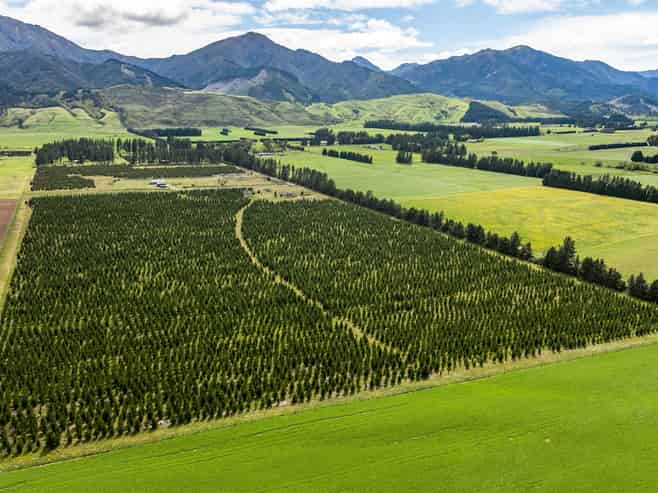 461 Woodbank Road, Hanmer Springs