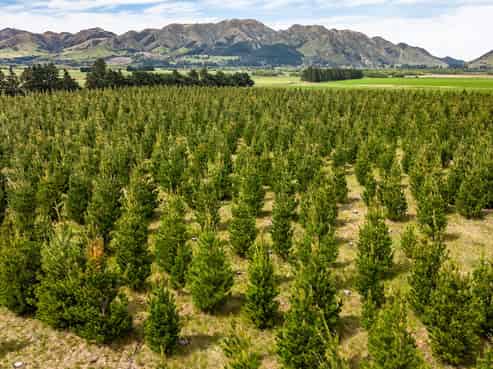 461 Woodbank Road, Hanmer Springs