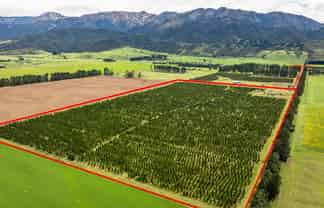 461 Woodbank Road, Hanmer Springs