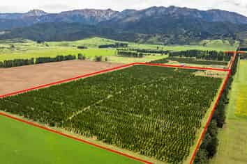 461 Woodbank Road, Hanmer Springs