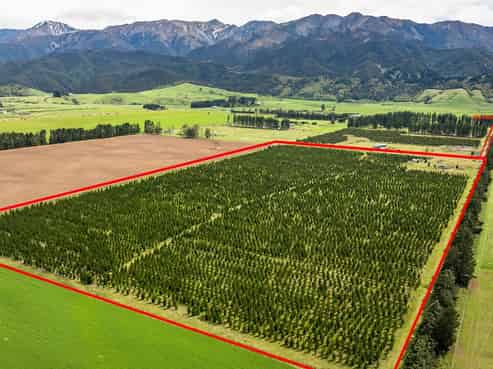 461 Woodbank Road, Hanmer Springs