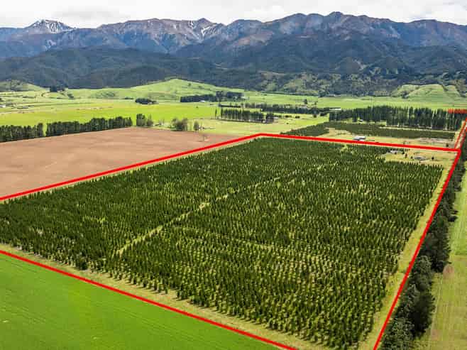 461 Woodbank Road, Hanmer Springs