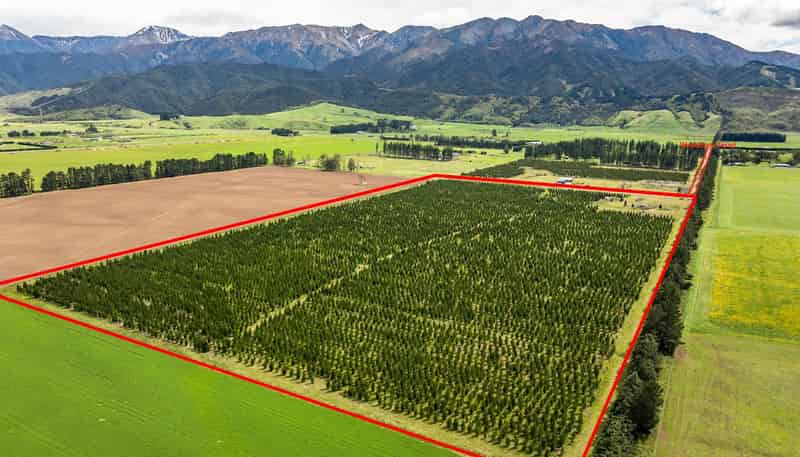 461 Woodbank Road, Hanmer Springs