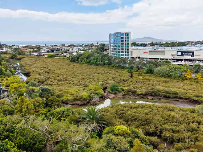9 Rangitoto Terrace, Milford