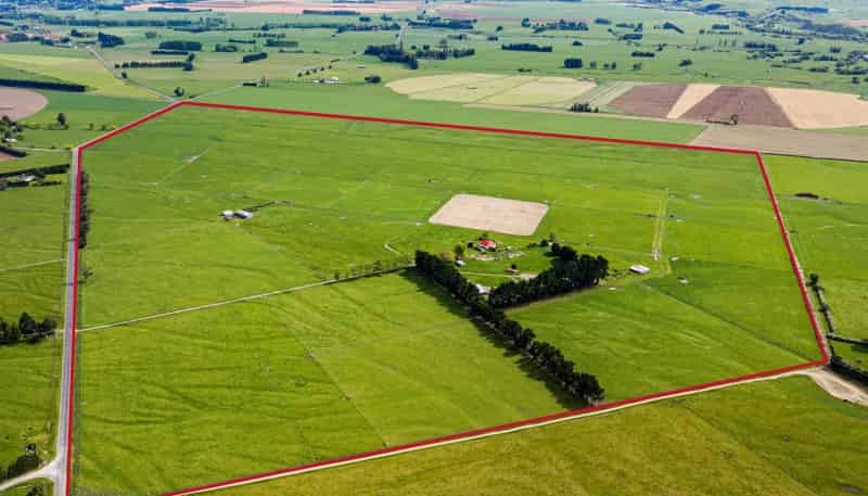 1254 Tikokino Road, Tikokino
