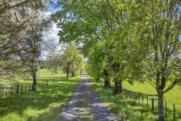 90 Mckinley Road, Kokopu