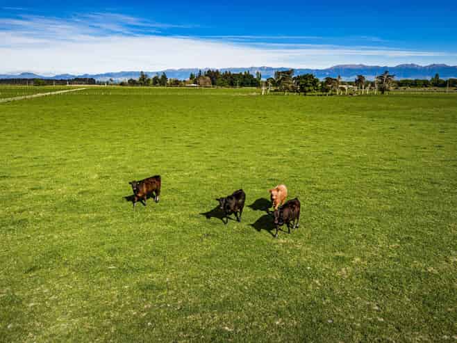 3637 State Highway 2, Takapau