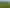 1438 Waihau Road, Patoka