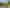 1405 South Road, Kaitake
