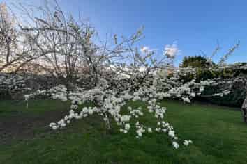 134 Ridge Road, Lincoln