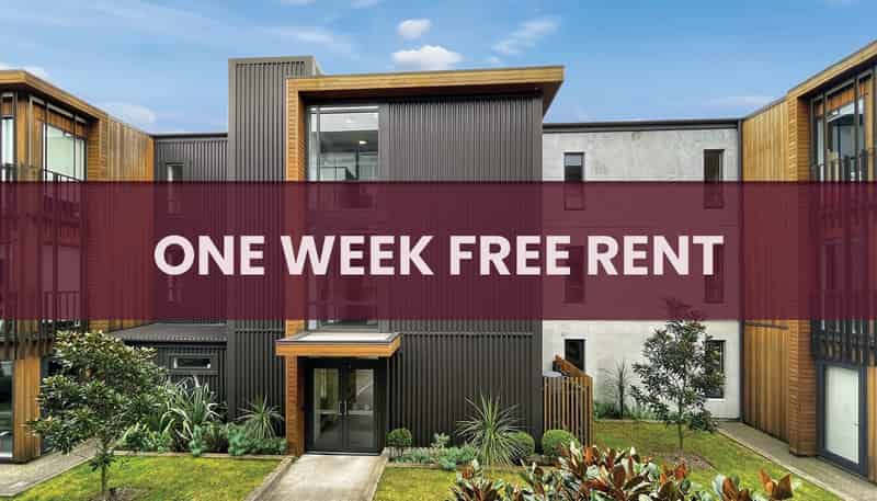 305A/41 Hopper Street, Te Aro