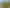 9 Rue Cachalot, Akaroa