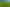 Lot 1, 51 Kiwi Road, Pirongia