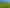 Lot 1, 51 Kiwi Road, Pirongia